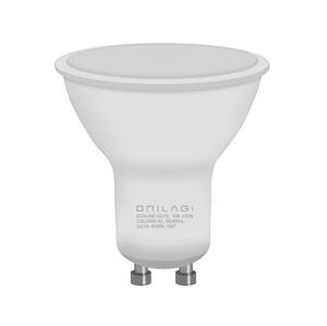 BRILAGI LED Izzó ECOLINE GU10/6W/230V 4000K