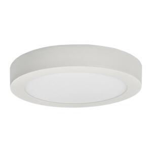 Greenlux LED Mennyezeti lámpa FENIX LED/12W/230V 3800K átm. 17 cm