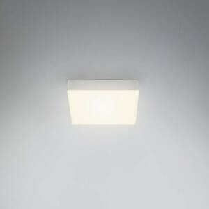 LED mennyezeti lámpa Flame, 15,7 x 15,7 cm, ezüst