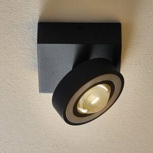 Paul Neuhaus Q-MIA LED mennyezeti fény antracit