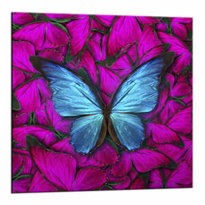 Glasspik Red Butterfly fali kép, 20 x 20 cm - Styler