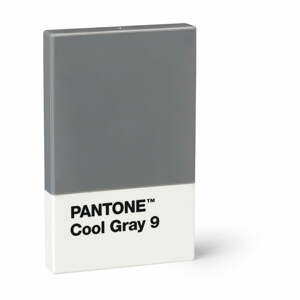 Szürke névjegykártya tartó - Pantone