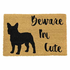 Cute French lábtörlő, 40 x 60 cm - Artsy Doormats