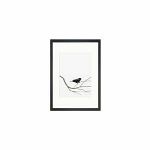 Birdy kép, 24 x 29 cm - Tablo Center