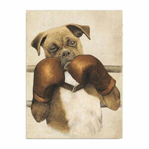 Boxer vászon fali kép, 30 x 40 cm