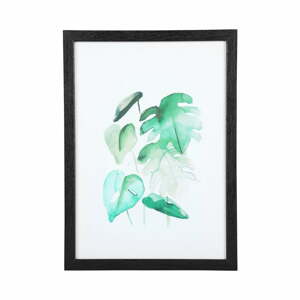 Monstera fali kép fekete kerettel, 20 x 30 cm - PT LIVING