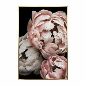 Artbox Peony kép, 70 x 50 cm - Styler