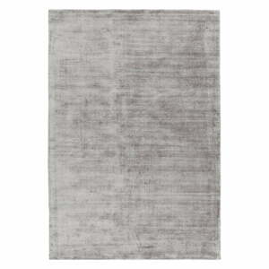 Szürke szőnyeg 230x160 cm Blade - Asiatic Carpets