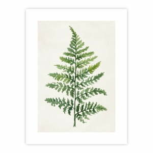 Poszter 40x50 cm Fern – knor