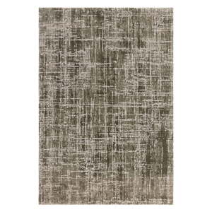 Khaki szőnyeg 200x290 cm Kuza – Asiatic Carpets